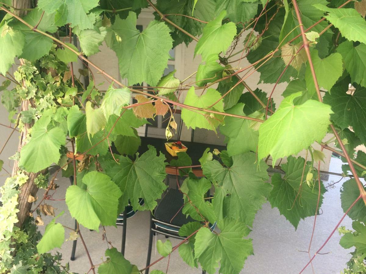 בול Apartments Baricevic מראה חיצוני תמונה